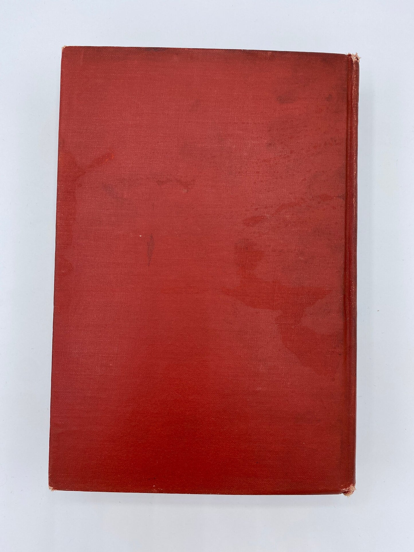 1903 Black Beauty by Anna Sewell, Vintage Illustrated Red Book