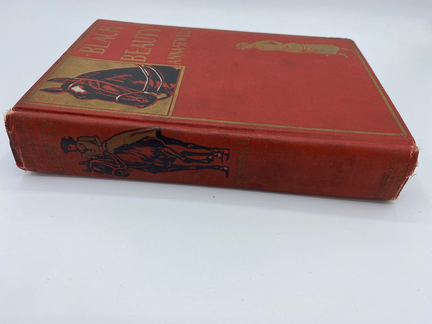 1903 Black Beauty by Anna Sewell, Vintage Illustrated Red Book