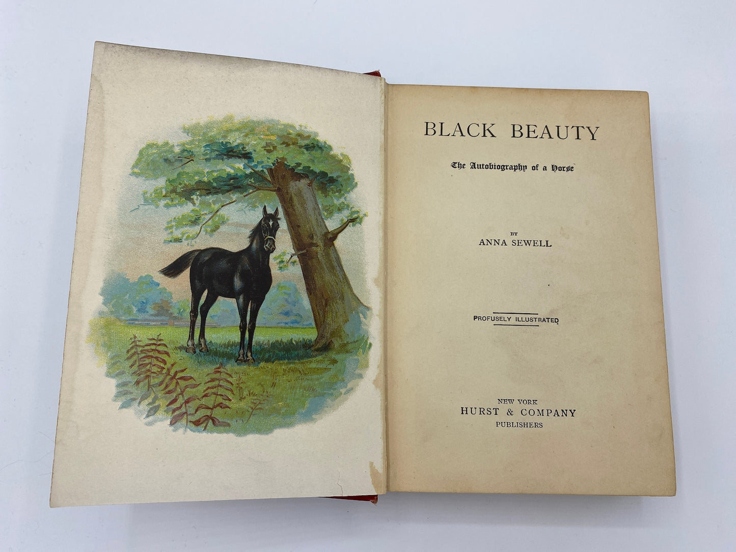 1903 Black Beauty by Anna Sewell, Vintage Illustrated Red Book