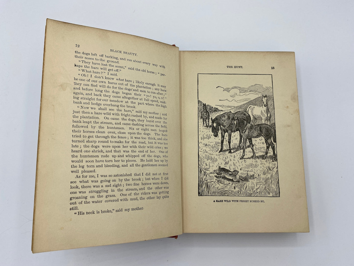 1903 Black Beauty by Anna Sewell, Vintage Illustrated Red Book
