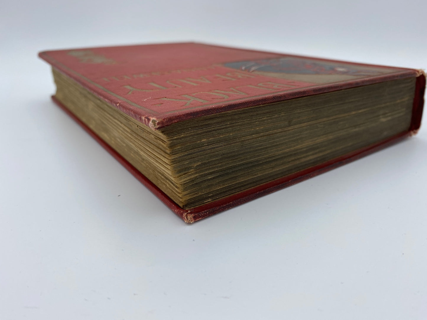 1903 Black Beauty by Anna Sewell, Vintage Illustrated Red Book