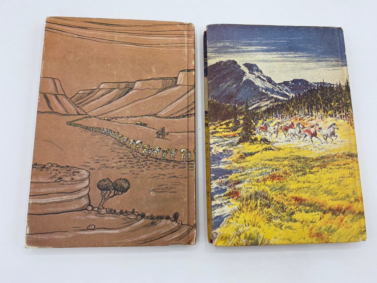 1956/1971 Horse Book Lot by Jane and Paul Annixter, Vintage Books